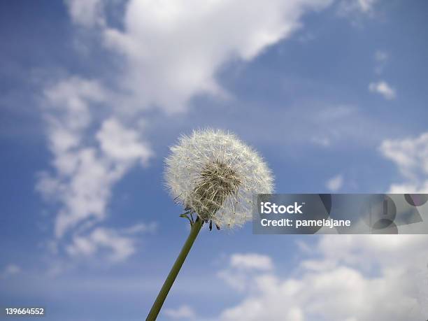 Foto de Pure Natureza e mais fotos de stock de Azul - Azul, Curva - Forma, Céu - Fenômeno natural