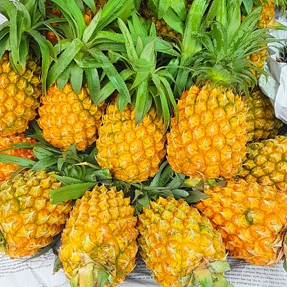 Fresh yellow pineapple