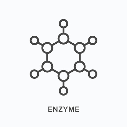 Enzyme flat line icon. Vector outline illustration of molecule. Black thin linear pictogram for science.
