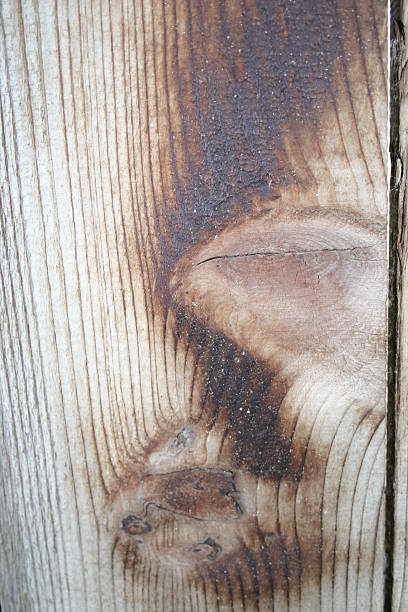 background  wood stock photo