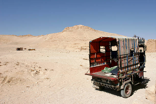팔미라 사막 스톡 사진