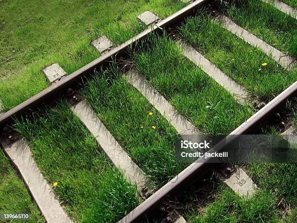 Grünem Gras Und Railroad Stockfoto und mehr Bilder von Abstrakt - Abstrakt, Bahngleis, Blume