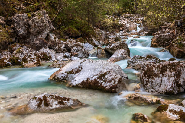istock In the Zauberwald, enchanted forest, near Ramsau 1396651705