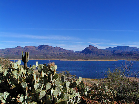 Roosevelt Lake -- a man-made lake created by the Theodore Roosevelt Dam -- in Arizona.