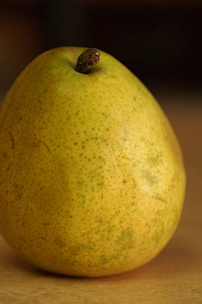 Peary Beautiful stock photo