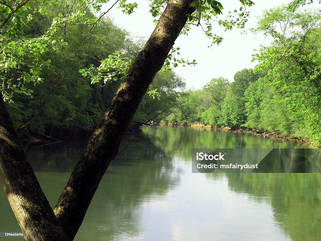 Река Чаттахучи - Стоковые фото Национальный лес Чаттахучи-Окони роялти-фри