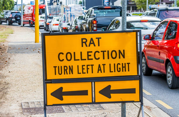 istock Covid-19 Free RAT Collection Direction Sign 1396657273