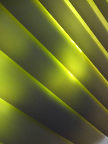 istock Green  Abstract Striped Diagonal Line Textured Simple Smooth Motion Defocused Blurred  Modern  Background 1396661770