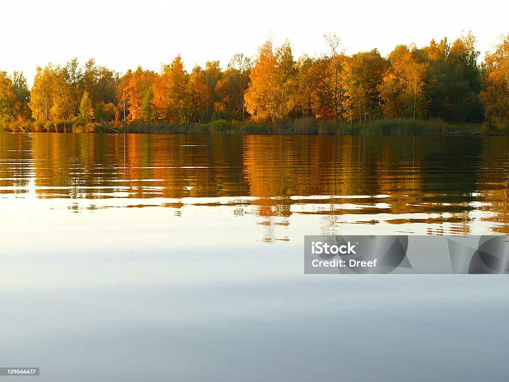 Colores que reflejan - Foto de stock de Agua libre de derechos