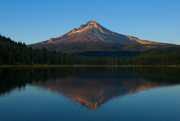 istock Trillium Lake and Mt. Hood 139666839