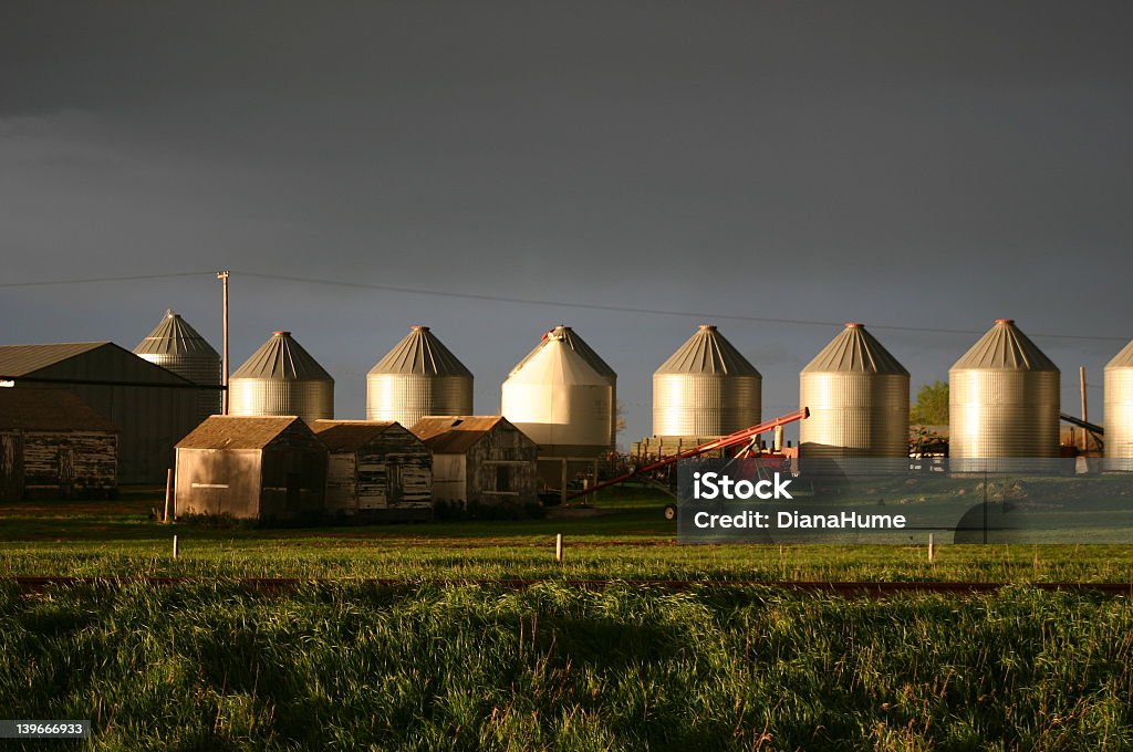 Contenedor no - Foto de stock de Camión de peso pesado libre de derechos