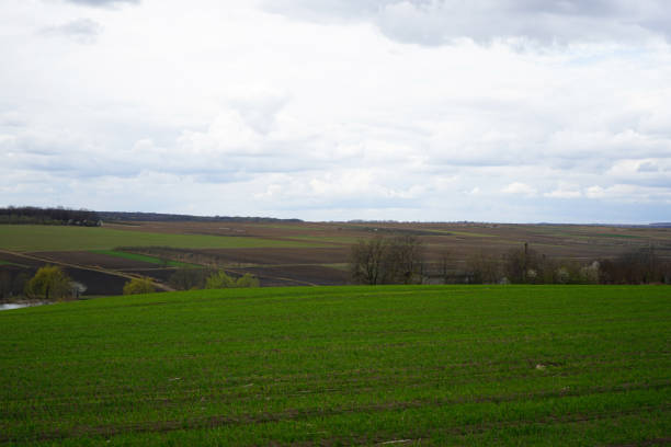 istock Sown and cultivated fields under blue sky with clouds, cloudy weather 1396669948