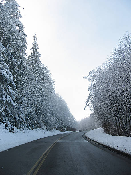istock Winding road in the snow 139667081