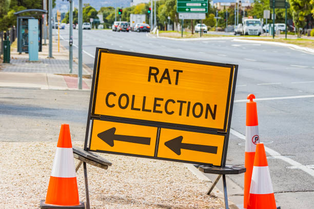 istock Covid-19 Free RAT Collection Direction Sign 1396672510
