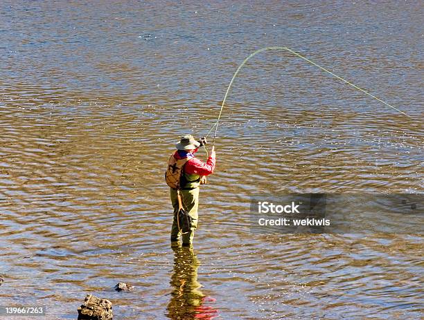 Mosca De Pesca - Fotografias de stock e mais imagens de Adulto - Adulto, Ao Ar Livre, Atividade Recreativa