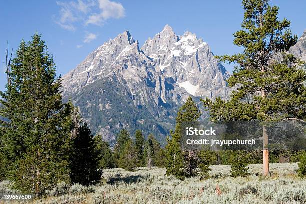 Photo libre de droit de La Cathédrale De Groupe banque d'images et plus d'images libres de droit de Arbre - Arbre, Grand Teton, Grandiose