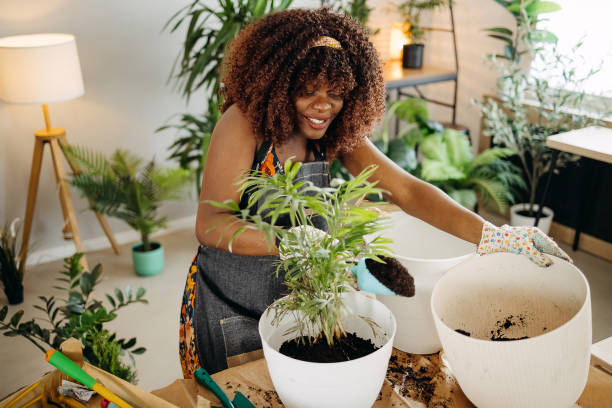 istock Florist Woman Seedling Plants 1396676663