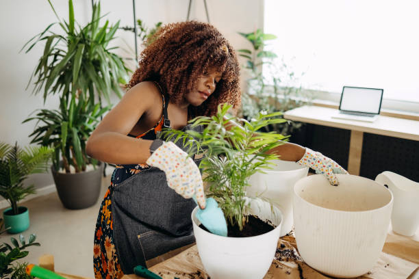istock Florist Woman Seedling Plants 1396676733