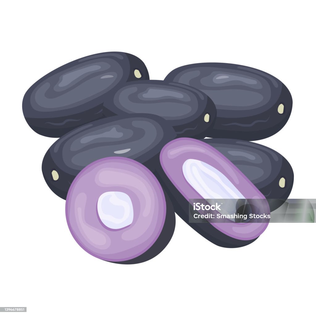 Java Plum Model. Image Java Plum Stock Illustration - Download Image Now - Food, Food and ...