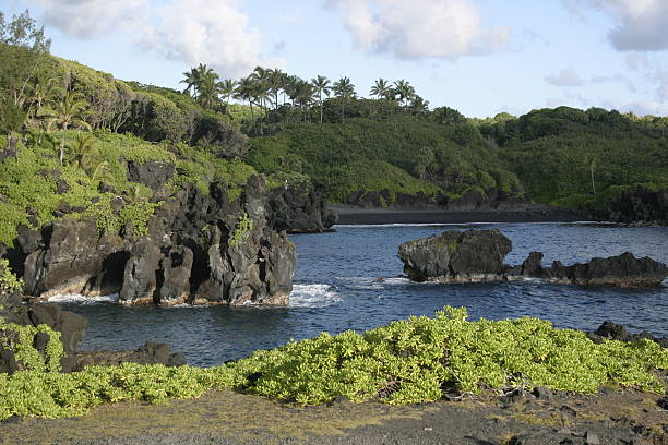 Black Sand Beach Hotel, Maui, Hawaii – Foto