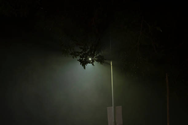 istock Light beam foggy night street light comes between the tree leaves. 1396680657