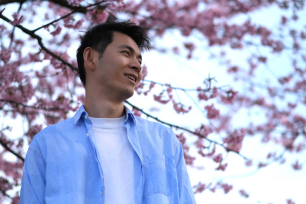 smiling handsome Asian young man under pink sakura flower tree. Low angle view