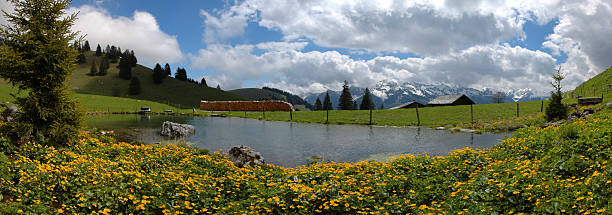 Bernese Alps stock photo