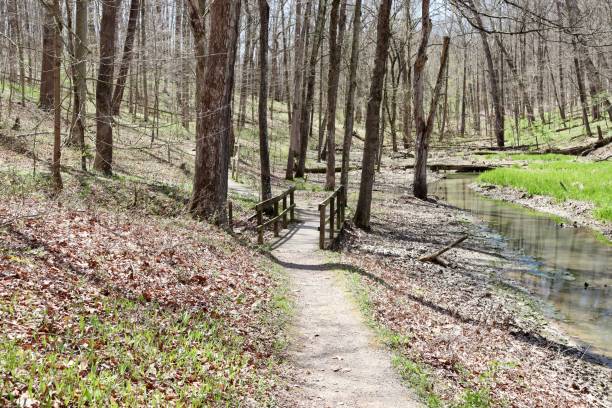 istock Empty Hiking Trail in the Forest 1396689388
