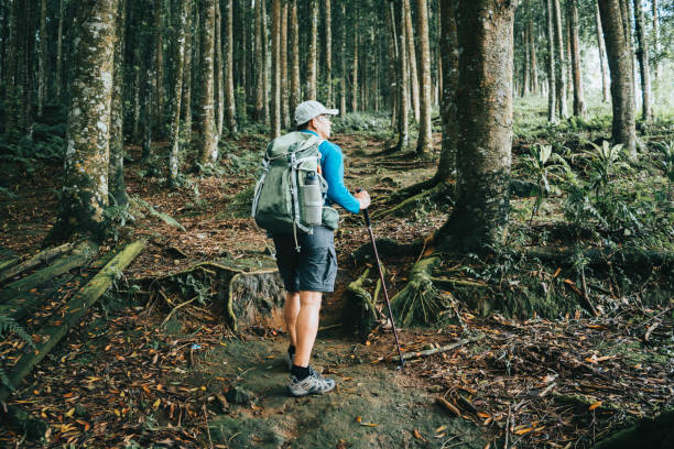 istock asian man holding hiking pole when tracking in the forest 1396690242