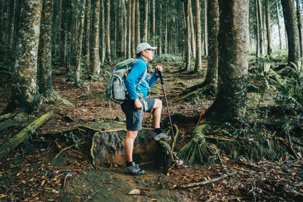 asian man holding hiking pole when tracking in the forest