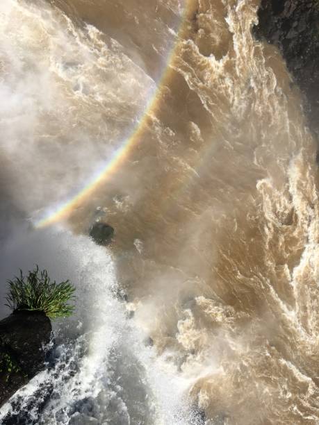 cataratas del iguazú - iguacu falls argentina tropical rainforest rainbow fotografías e imágenes de stock