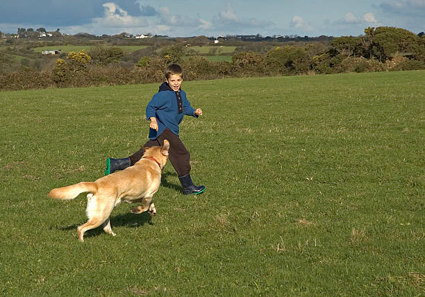 Young boy and yellow lab running stock photo