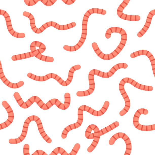 Worms seamless pattern. Worms seamless pattern. Cute earthworms set. Cute child wallpaper with insect. Vector illustration. worm stock illustrations