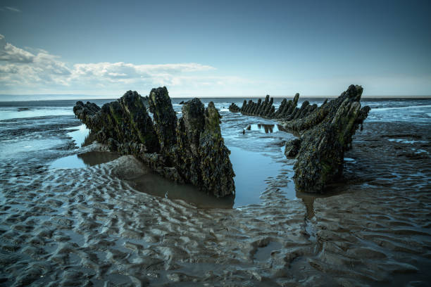 SS Nornen Shipwreck, Berrow, UK SS Nornen Shipwreck, Berrow, reflecting in pools of water on a sunny day barnacle stock pictures, royalty-free photos & images