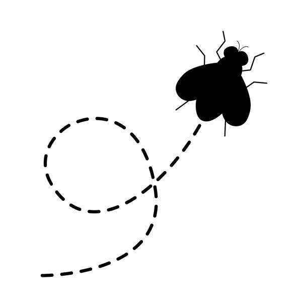 illustrazioni stock, clip art, cartoni animati e icone di tendenza di icona delle mosche. vola insetto che vola su rotta punteggiata. - fly flying housefly insect