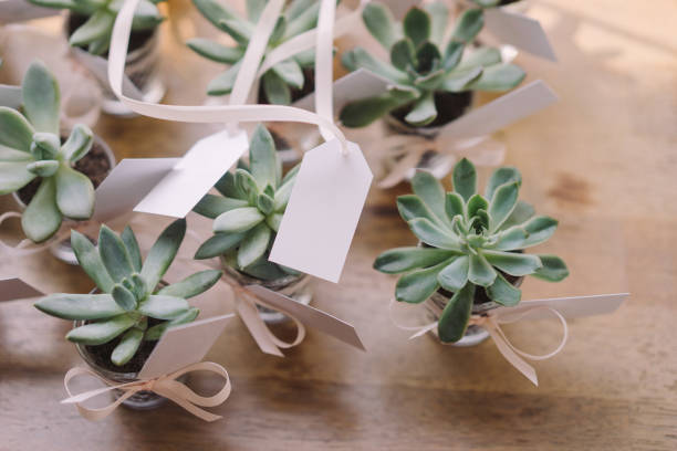 Coziness and style. Modern event design.