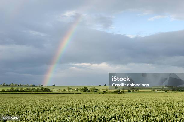 Foto de Arcoíris Sobre Campos De Trigo Integral e mais fotos de stock de Agricultura - Agricultura, Arco-íris, Campo