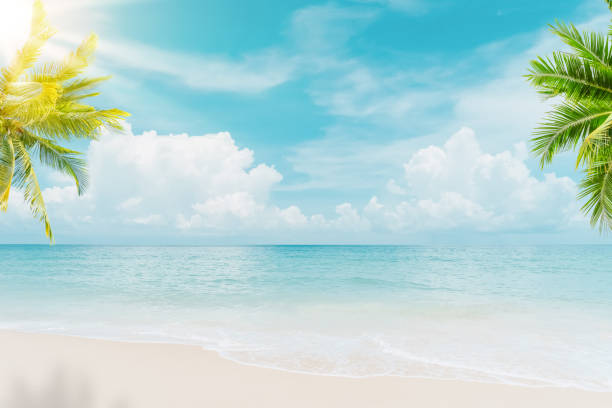 istock Palm tree on tropical beach with blue sky and white clouds abstract background. Copy space of summer vacation and business travel concept. 1396693637