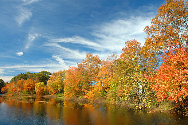 istock Foliage along river bank 139669374