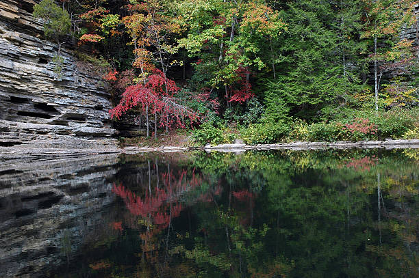 Fall Reflections in still water stock photo