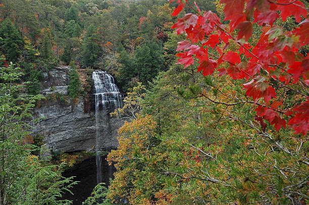 Fall Creek Falls from elevation stock photo