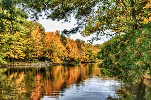 istock Autumn Colors on the Chippewa 1396695038