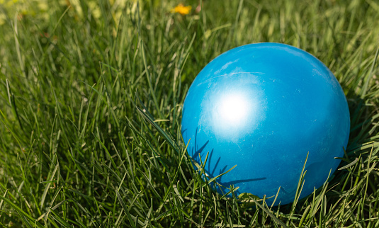 blue ball in green grass