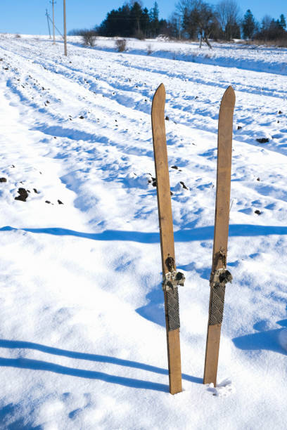 Set sports skiing, ski poles color. 3D graphic