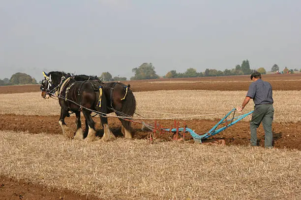 Photo of Ploughing team