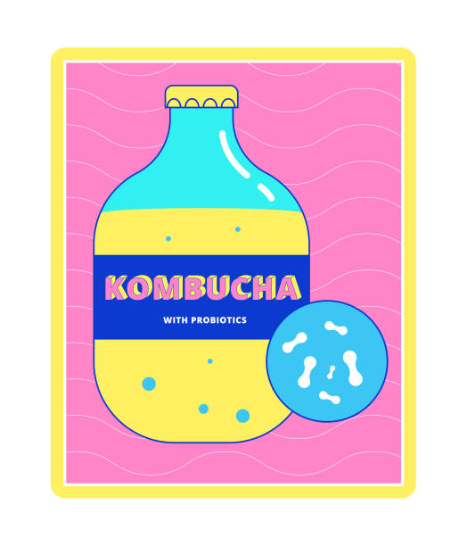 Bottle of kombucha tea drink rich in beneficial probiotics Bottle of kombucha tea drink rich in beneficial probiotics. Glass jar with fermented tea,
Chinese mushroom and bubbles. Healthy eating, detox diet kombucha jar stock illustrations