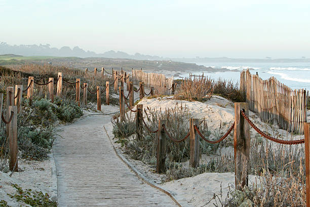 early  morning walk at asilomar
