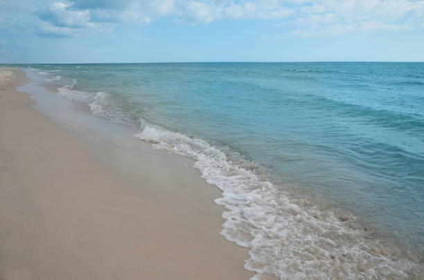 istock Sea waves rolling onto sandy tropical beach 1396699628