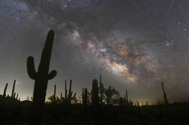 istock Milky way galaxy over saguaro cactus 1396701254