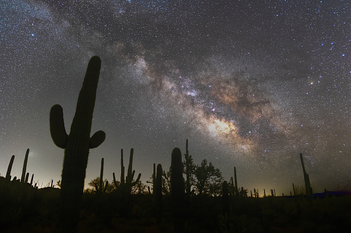 Milky way galaxy over saguaro cactus
